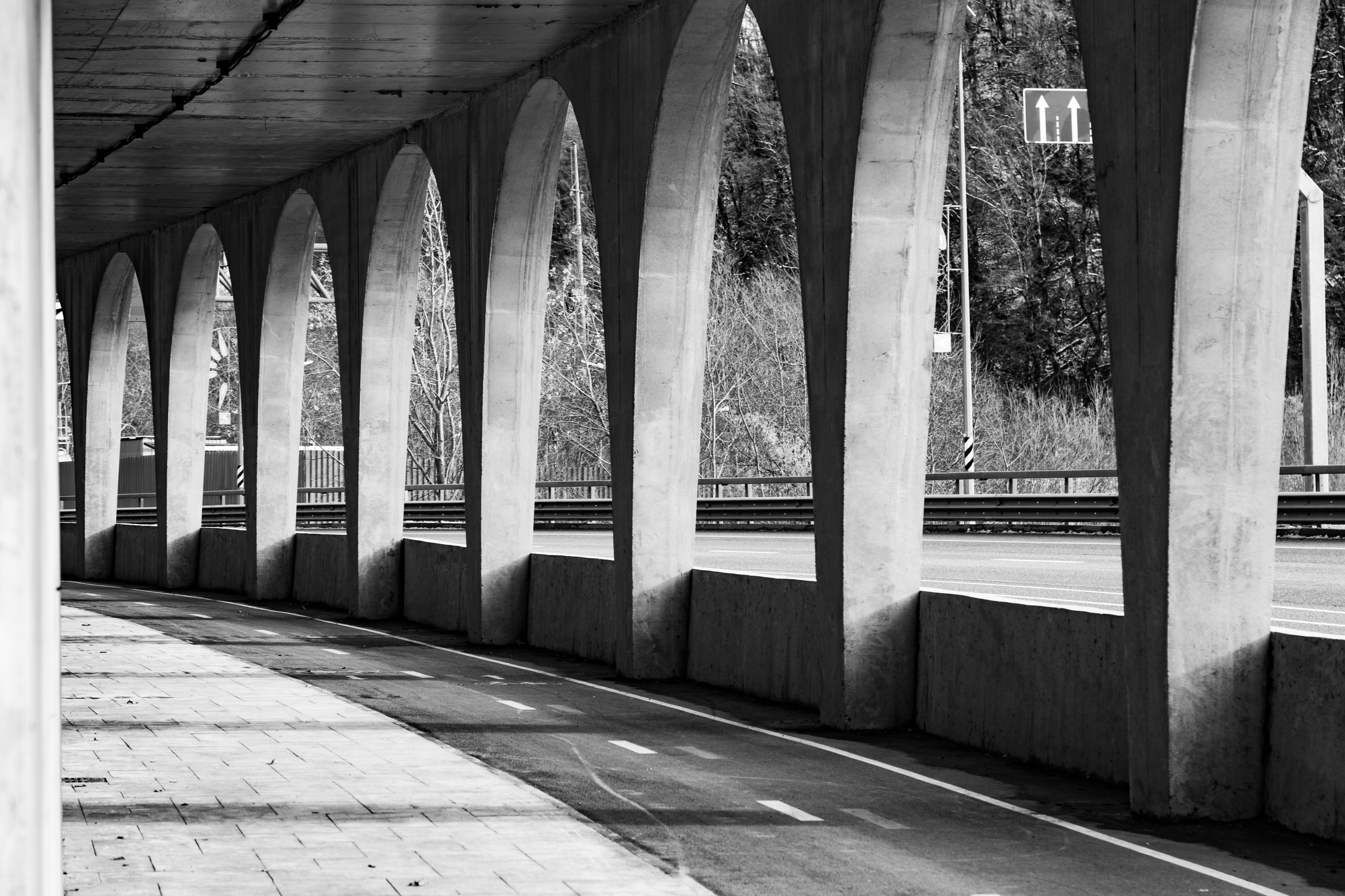 Фото проекта «Краснополянский терренкур» — МОА