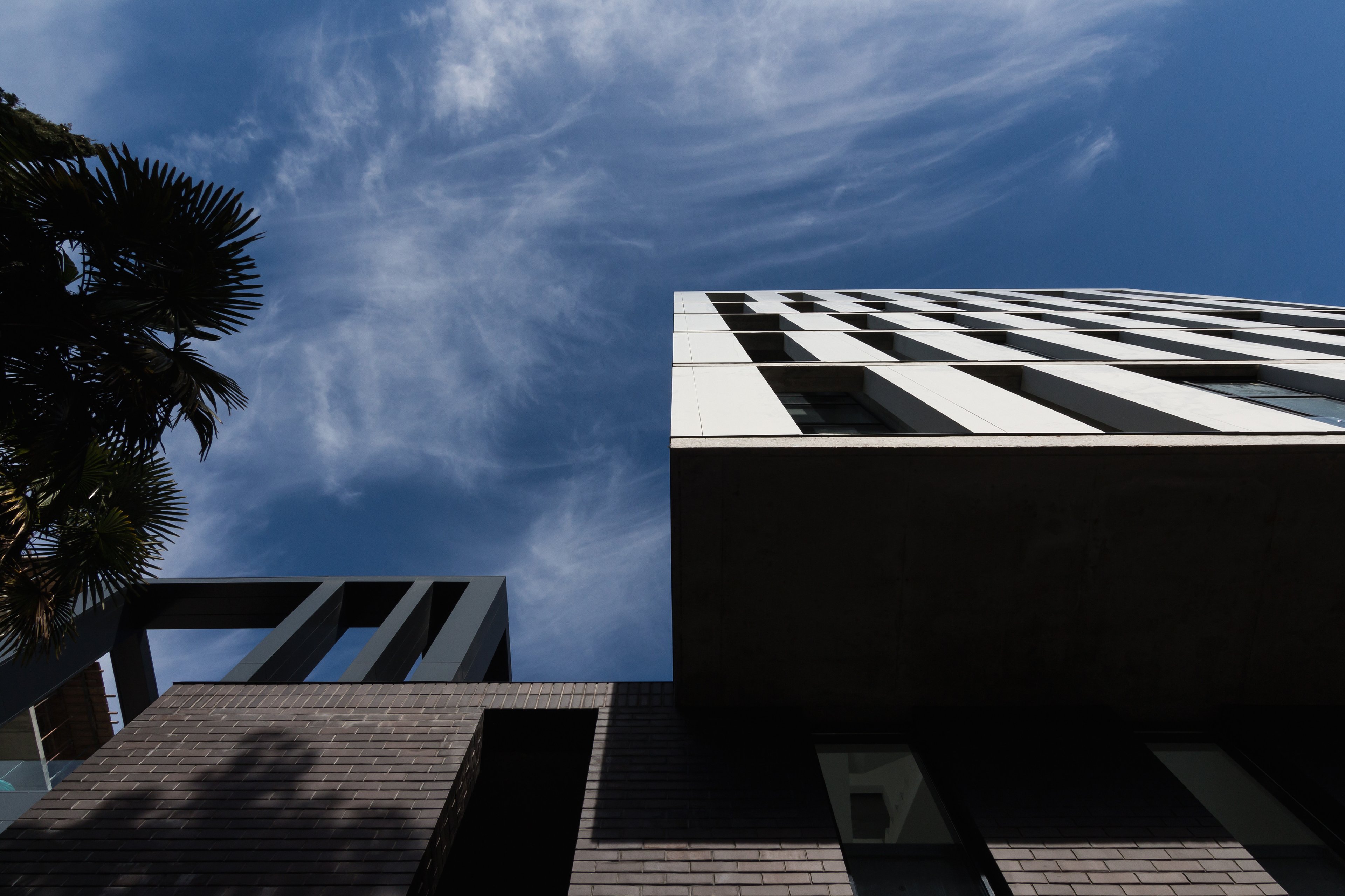 Фото проекта «Верещагинская дача» — МОА